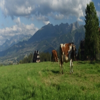 NA SZCZYCIE ferie i Tatra-bjergene Zakopane